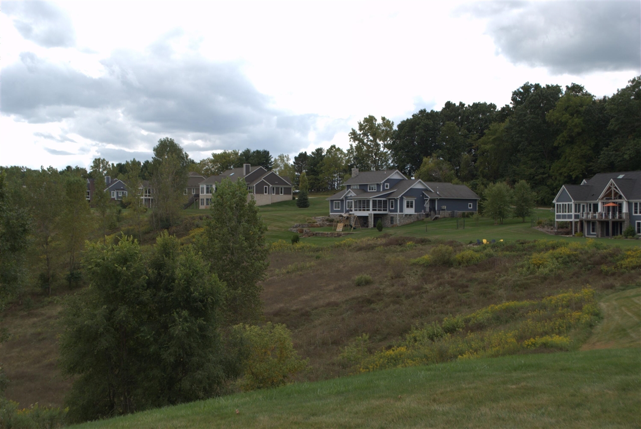 3847 Lake Vista Drive, Dexter, MI, 48130-8404