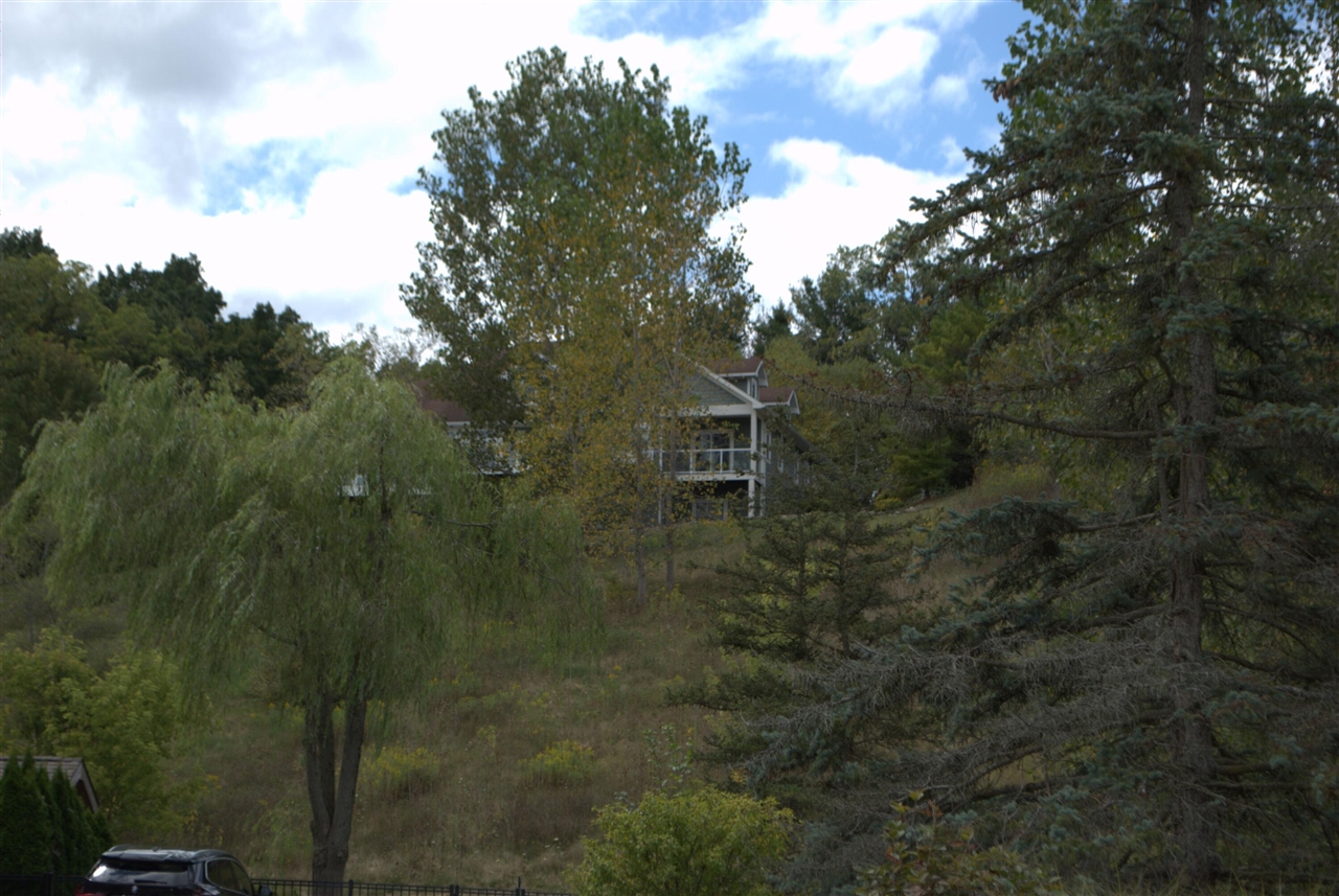 3847 Lake Vista Drive, Dexter, MI, 48130-8404