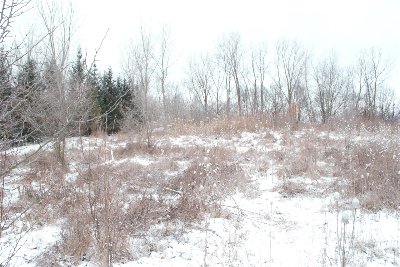 3847 Lake Vista Drive, Dexter, MI, 48130-8404