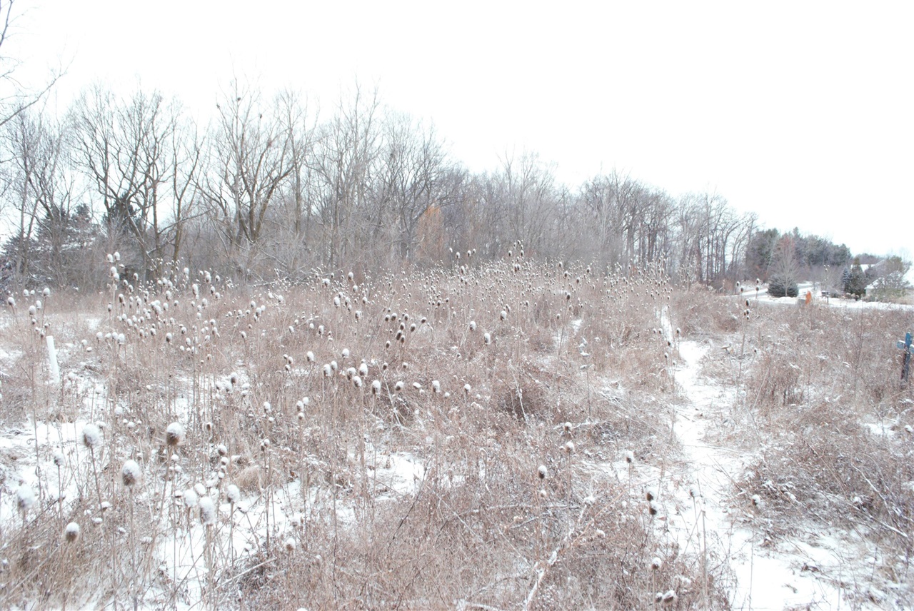 3847 Lake Vista Drive, Dexter, MI, 48130-8404