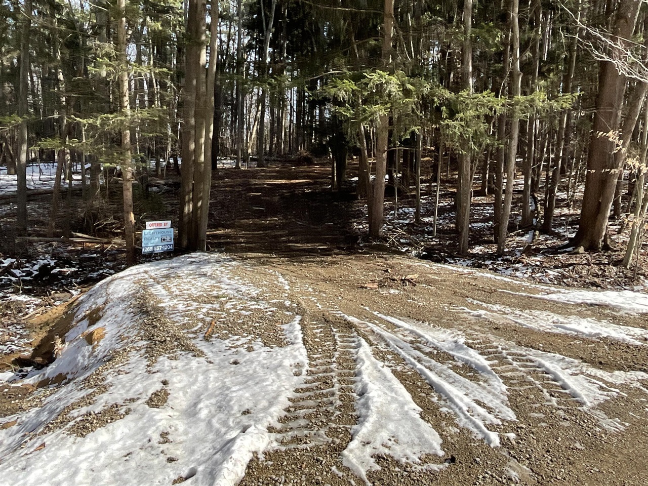 VL N Merrillville Road, Baldwin, MI, 49304