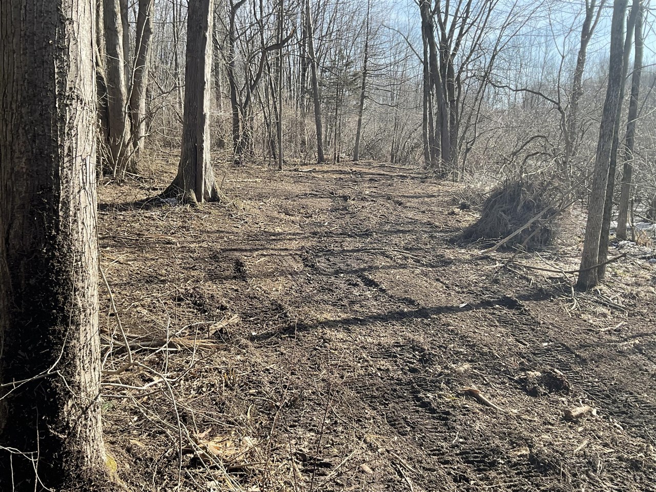 6044 Dublin Drive, Stanwood, MI, 49346