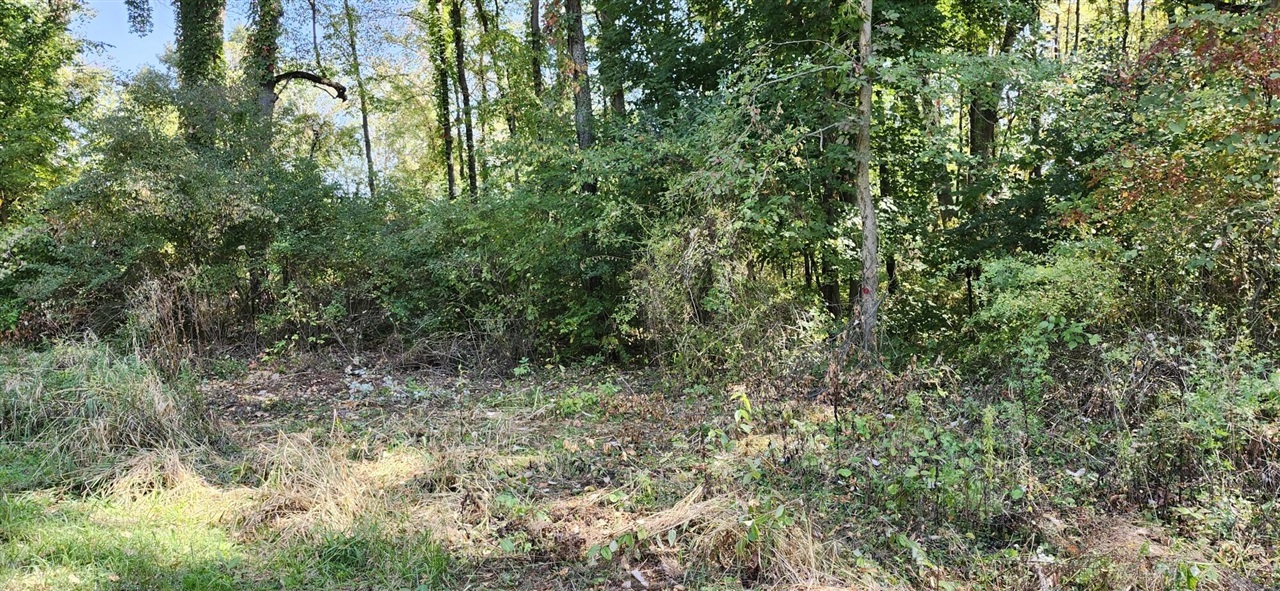 lots 31 & 43 N Canal St Drive, Onsted, MI, 49265