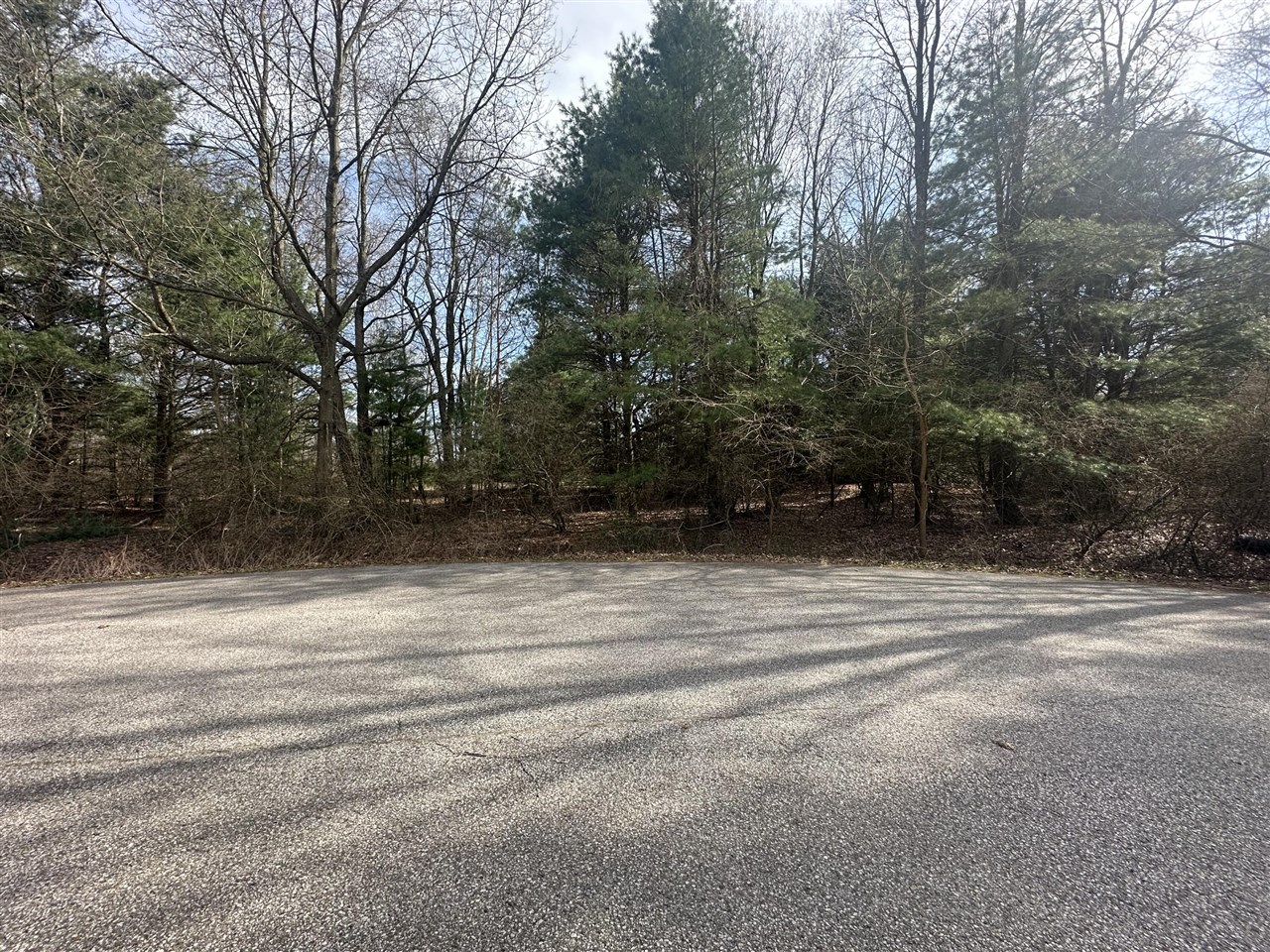 Homes for sale in Hart, MI | V/l 4 White Pine Dr, Hart, MI 49420 | MLS# 70464503