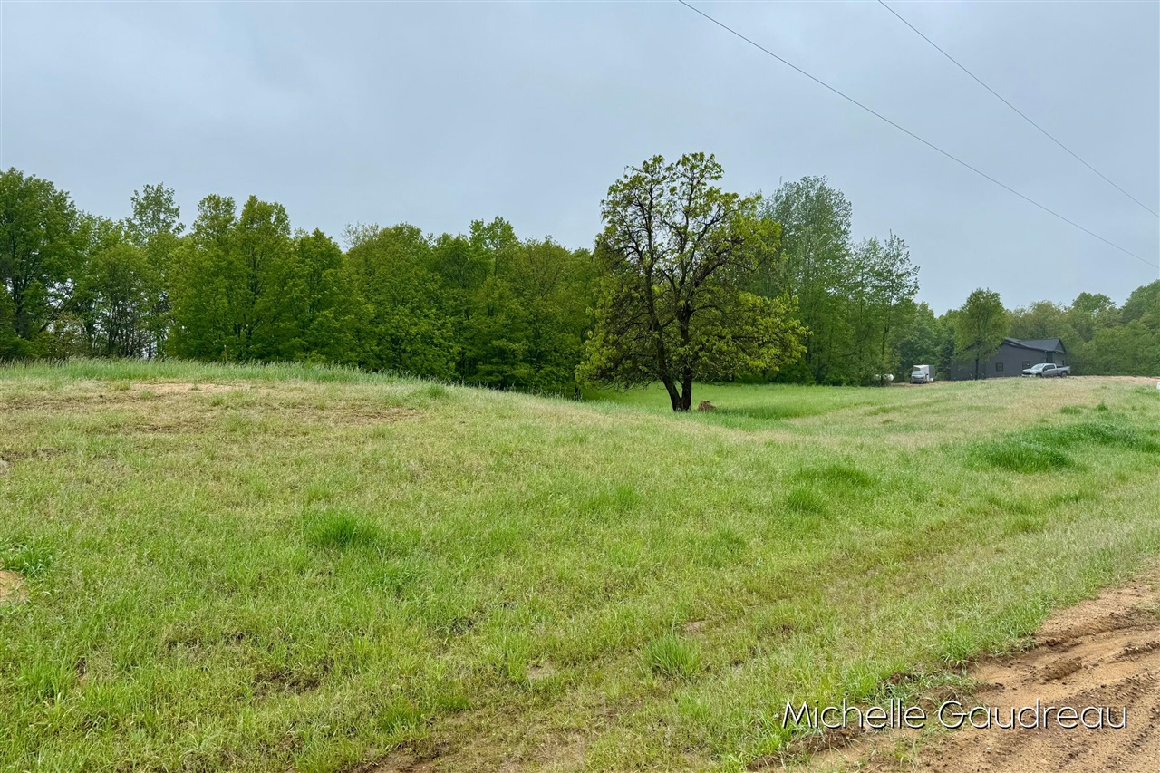 Homes for sale in Freeport, MI | Parcel 2 Leaf Lane, Freeport, MI 49325 | MLS# 70470214