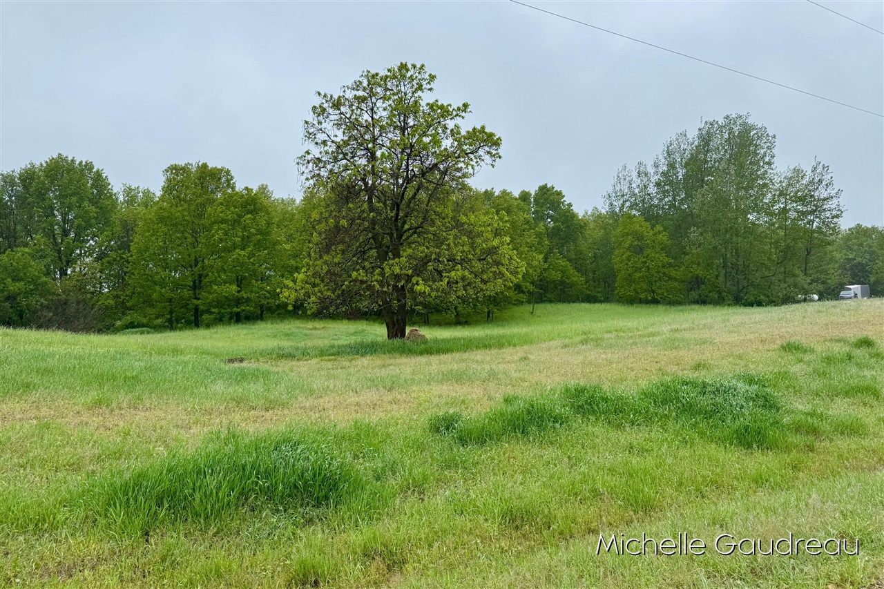 Homes for sale in Freeport, MI | Parcel 2 Leaf Lane, Freeport, MI 49325 | MLS# 70470214