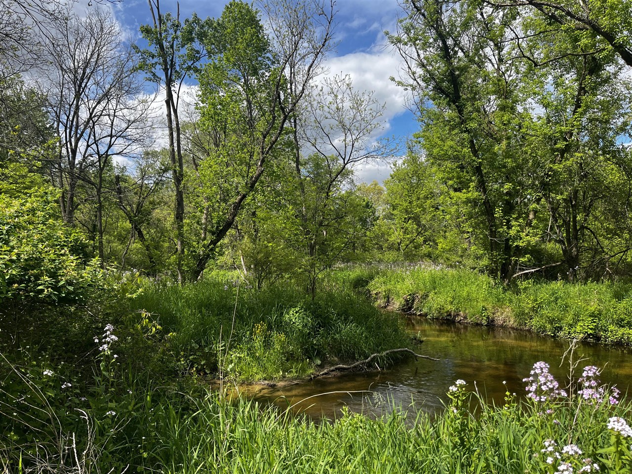 5650 Morrison Lake Road, Saranac, MI, 48881