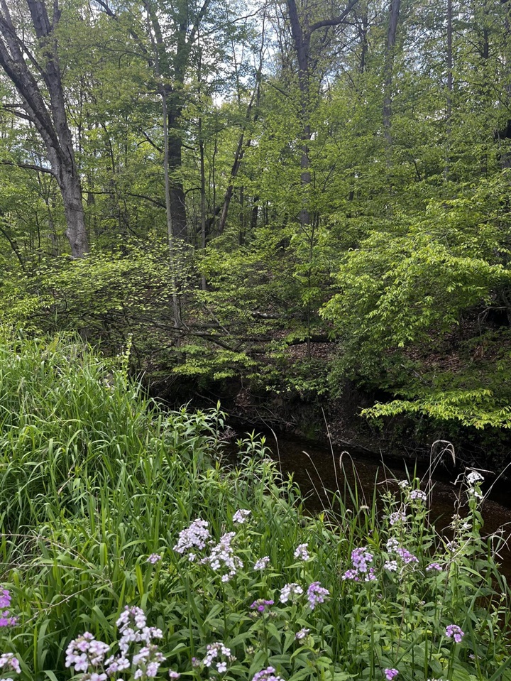 5650 Morrison Lake Road, Saranac, MI, 48881