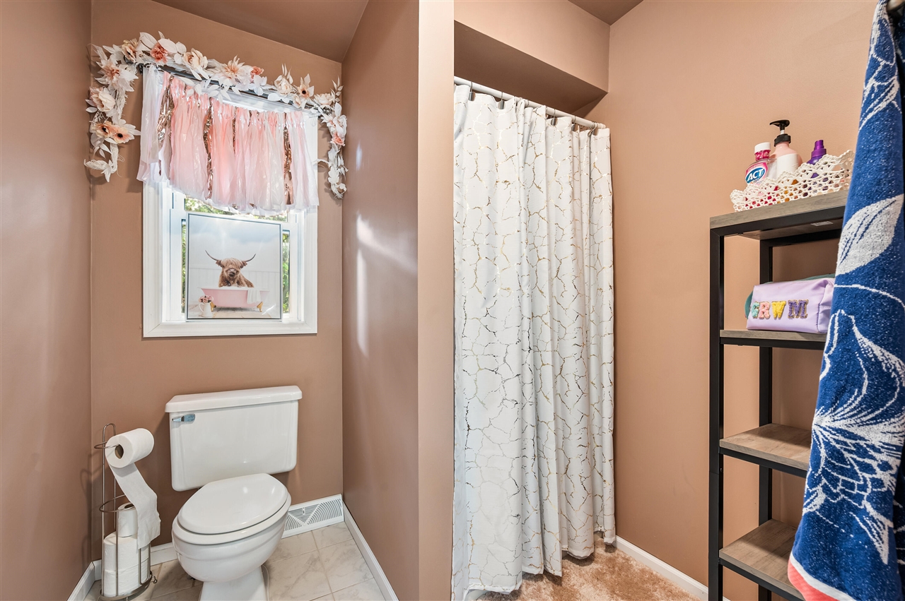 13421 Woodland Court, Big Rapids, MI, 49307
