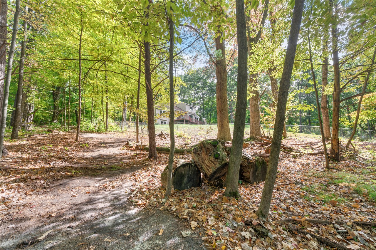 13421 Woodland Court, Big Rapids, MI, 49307