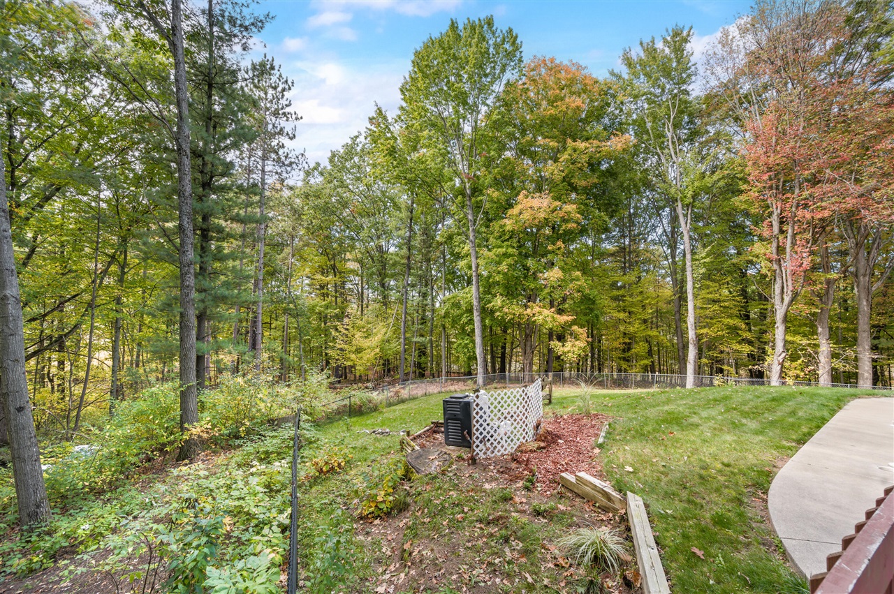 13421 Woodland Court, Big Rapids, MI, 49307