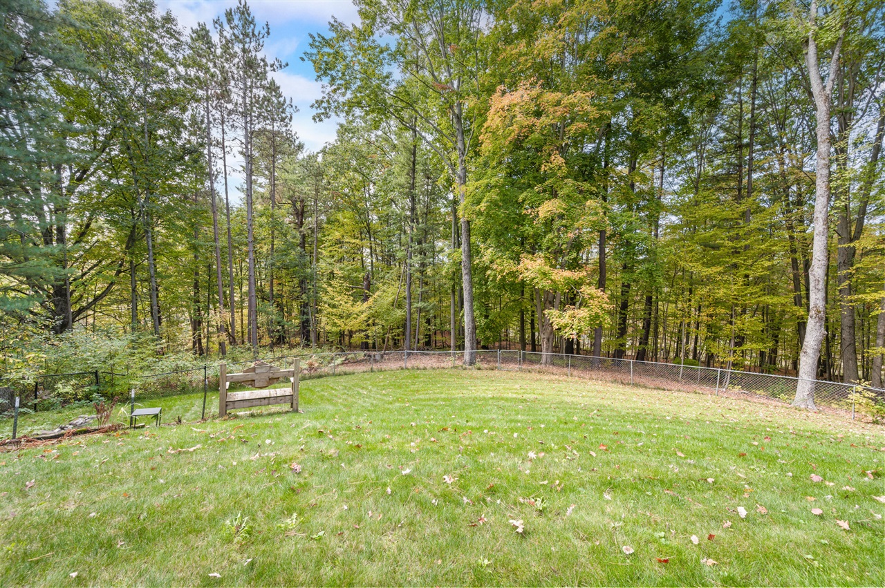 13421 Woodland Court, Big Rapids, MI, 49307