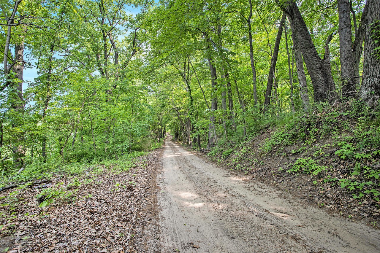 VL County Road 354 photo 24