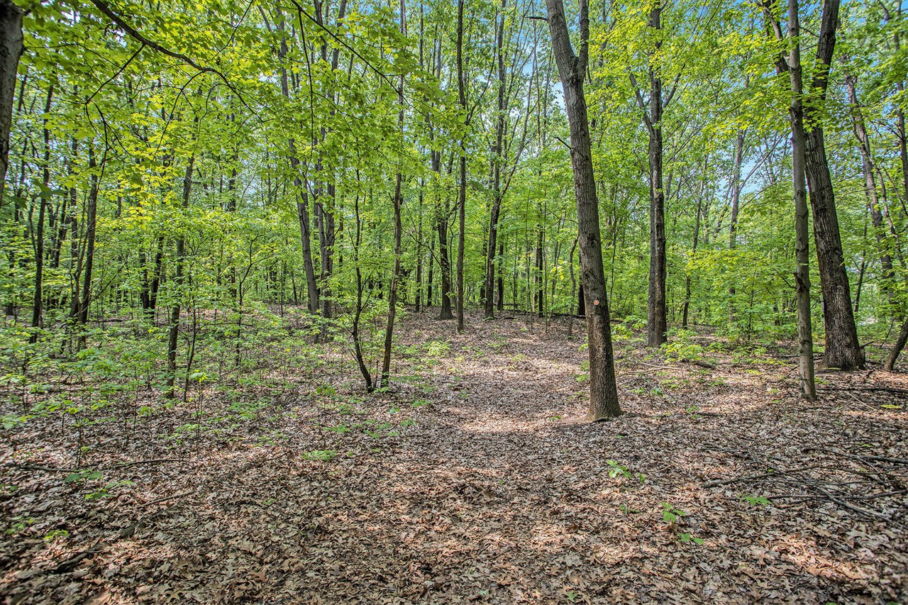 VL County Road 354 photo 26