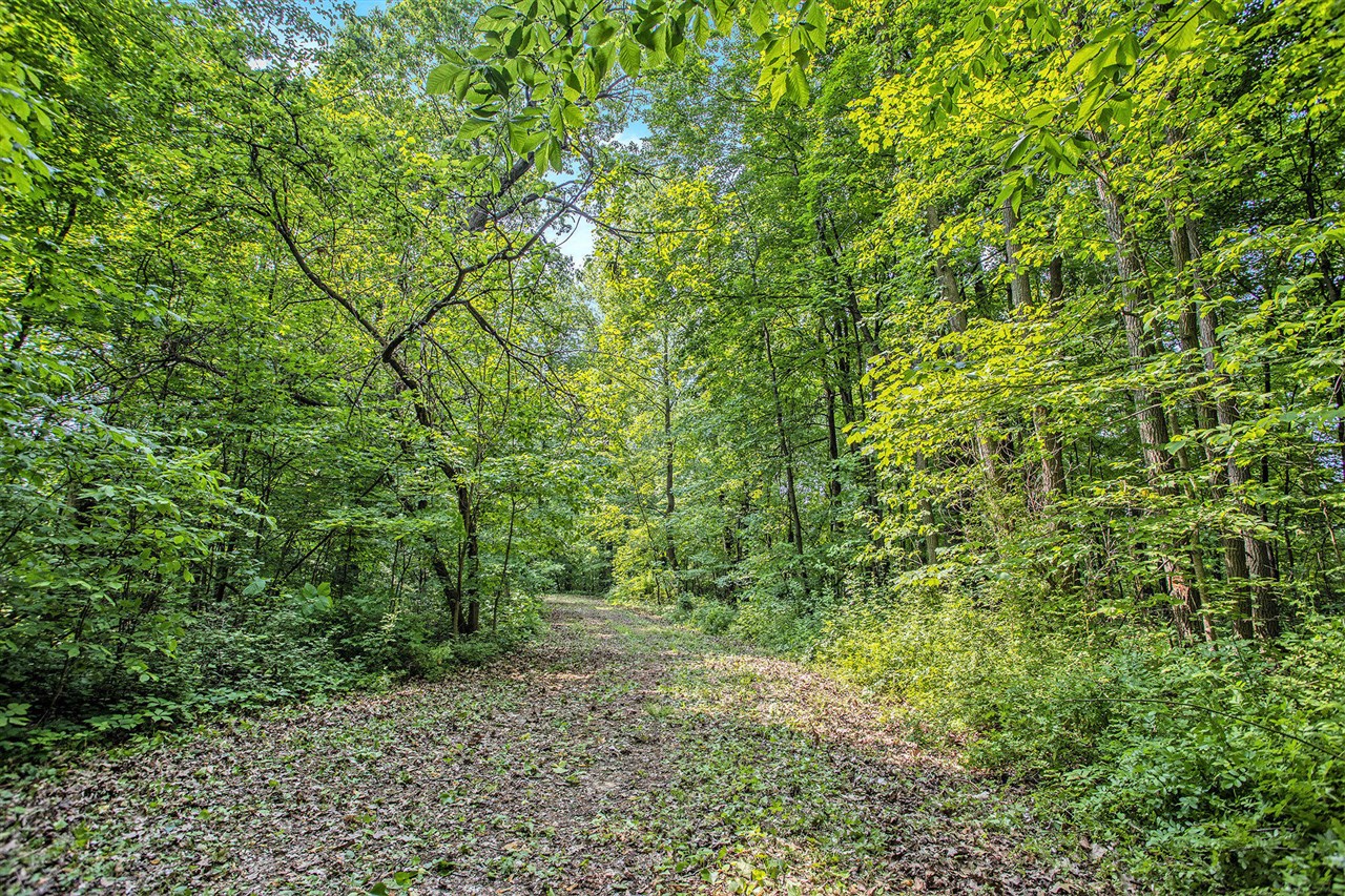 VL County Road 354 photo 27