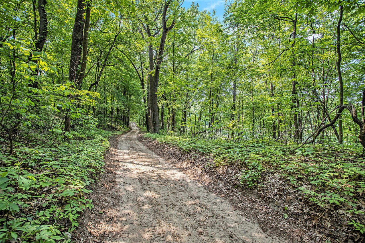 VL County Road 354 photo 28