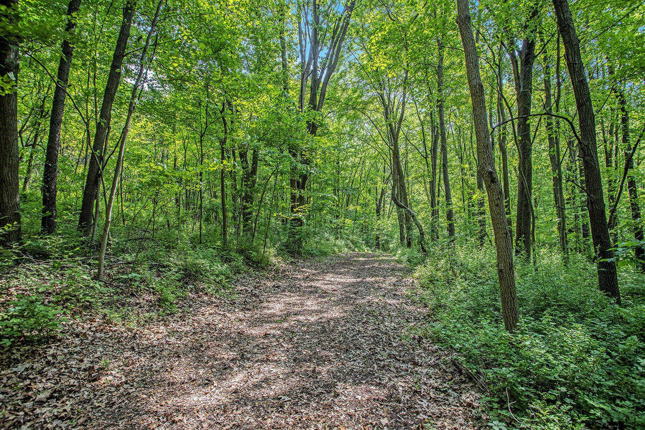 VL County Road 354 photo 29