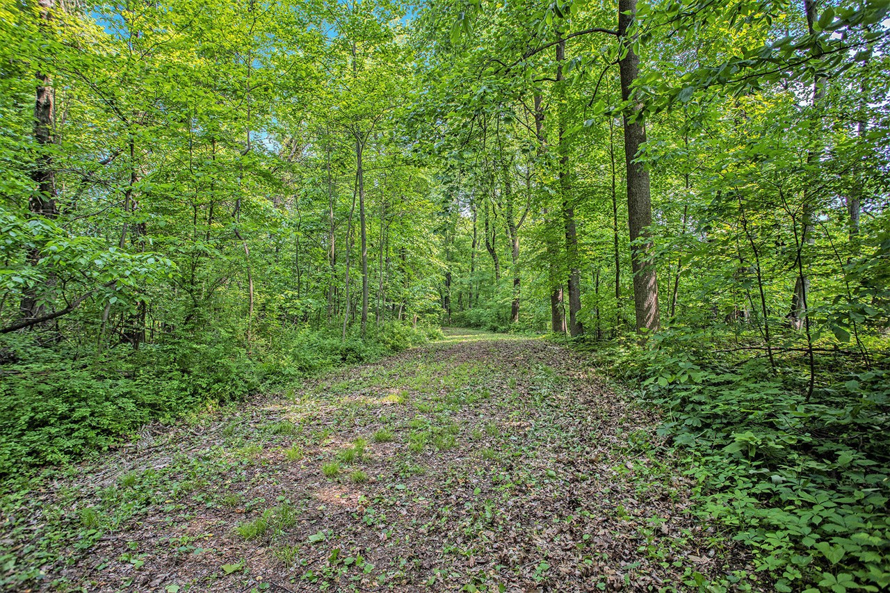 VL County Road 354 photo 30
