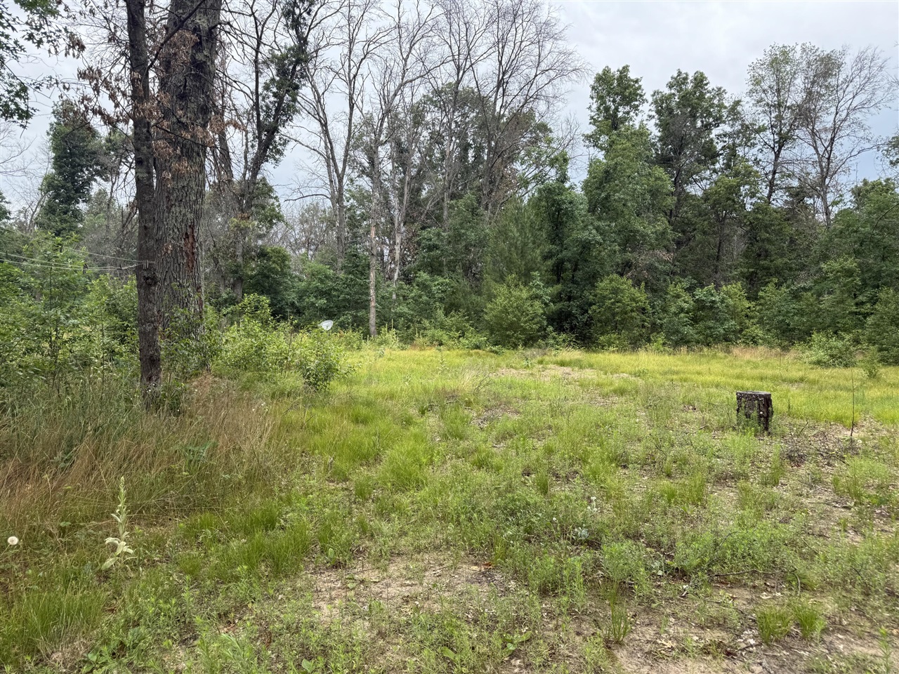Land for sale at 102 E Peoria Ave, Idlewild, MI 49642 | MLS# 70478293 | Listing updated on 2026-06-23