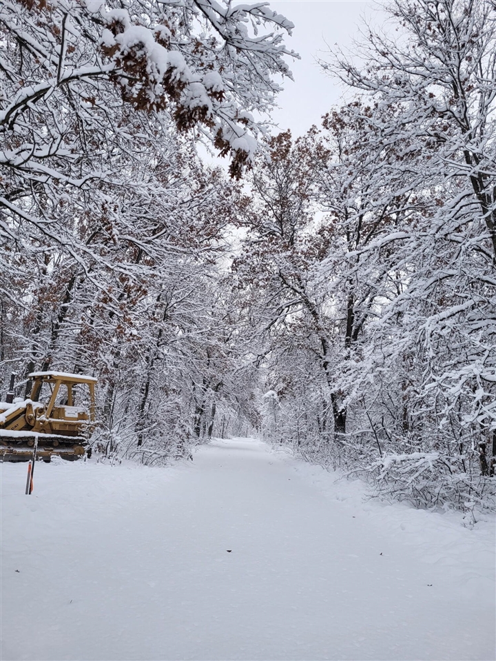 102 E Peoria Avenue, Idlewild, MI, 49642-9615