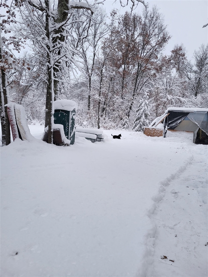 102 E Peoria Avenue, Idlewild, MI, 49642-9615