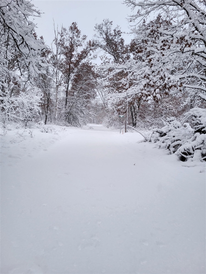 102 E Peoria Avenue, Idlewild, MI, 49642-9615