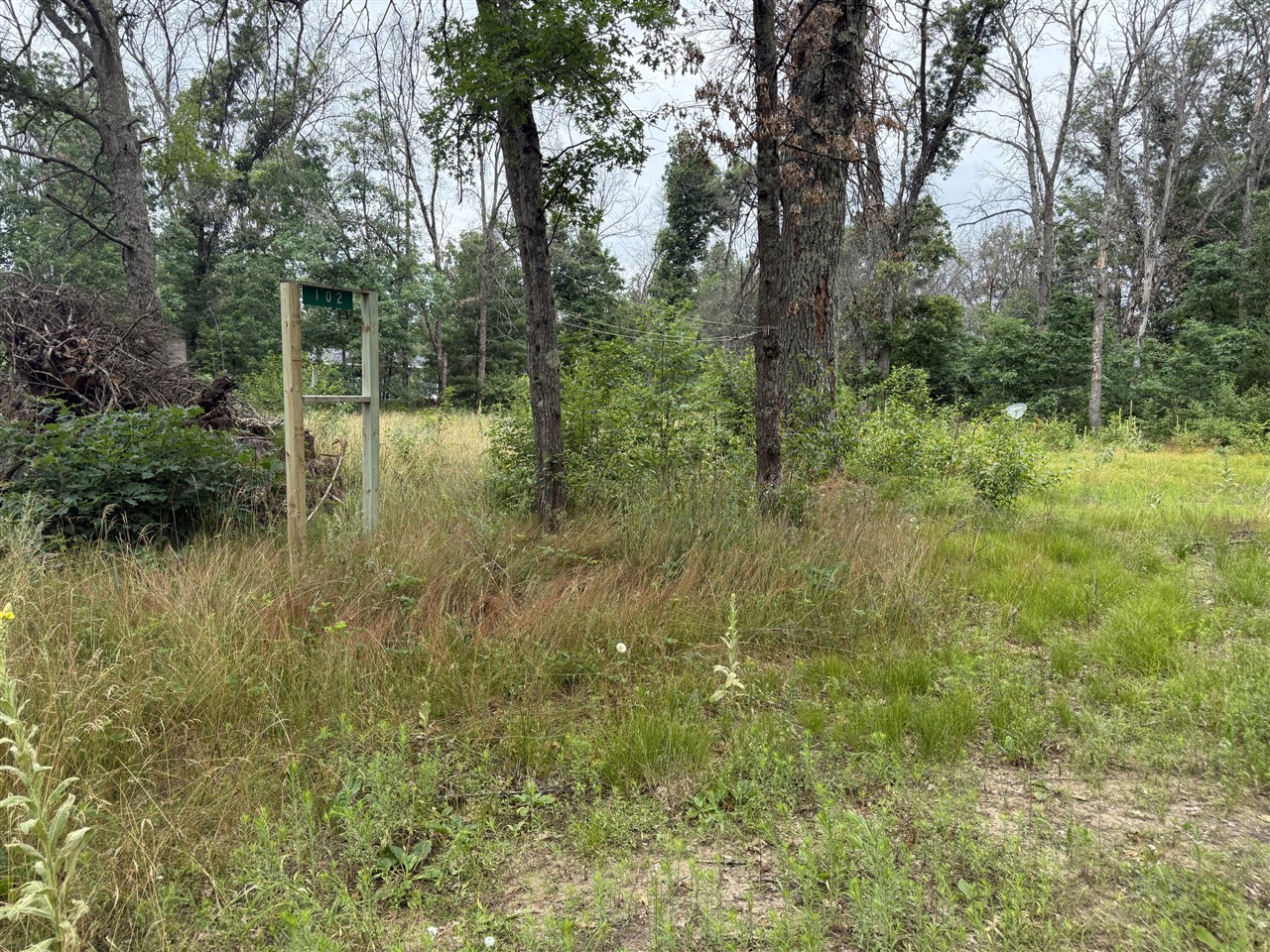 102 E Peoria Avenue, Idlewild, MI, 49642-9615