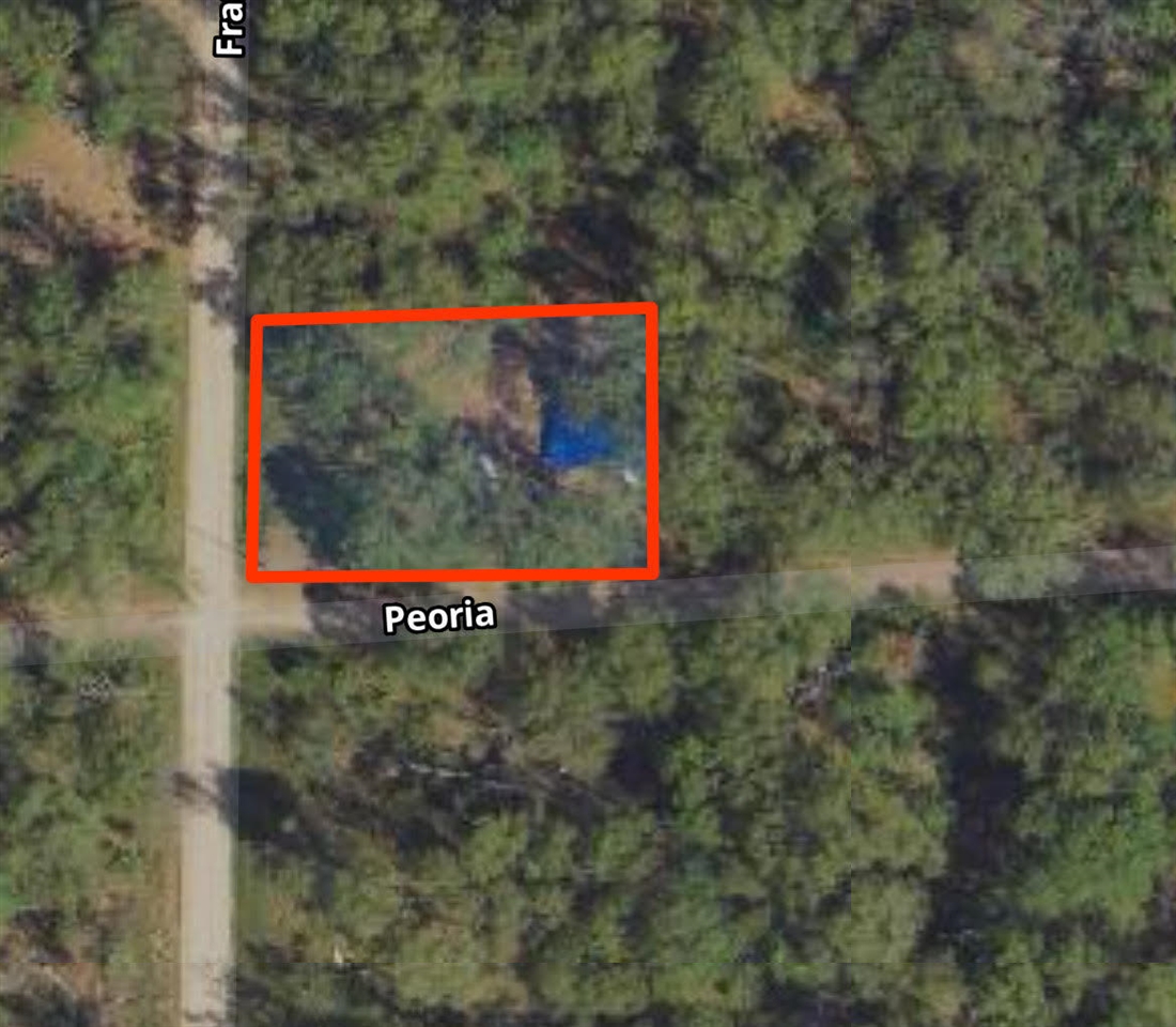 102 E Peoria Avenue, Idlewild, MI, 49642-9615