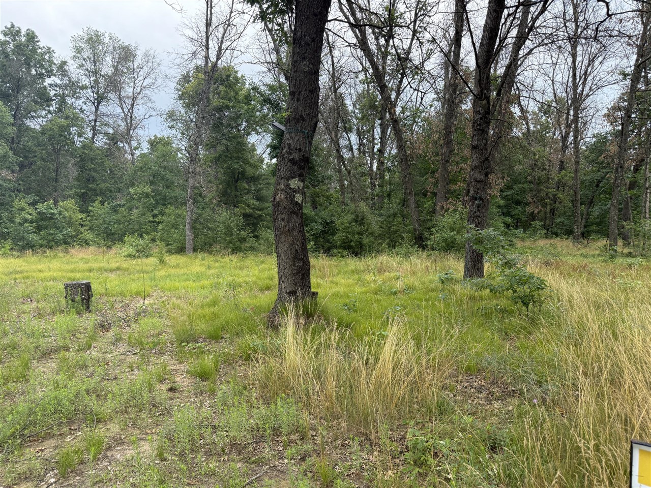 102 E Peoria Avenue, Idlewild, MI, 49642-9615