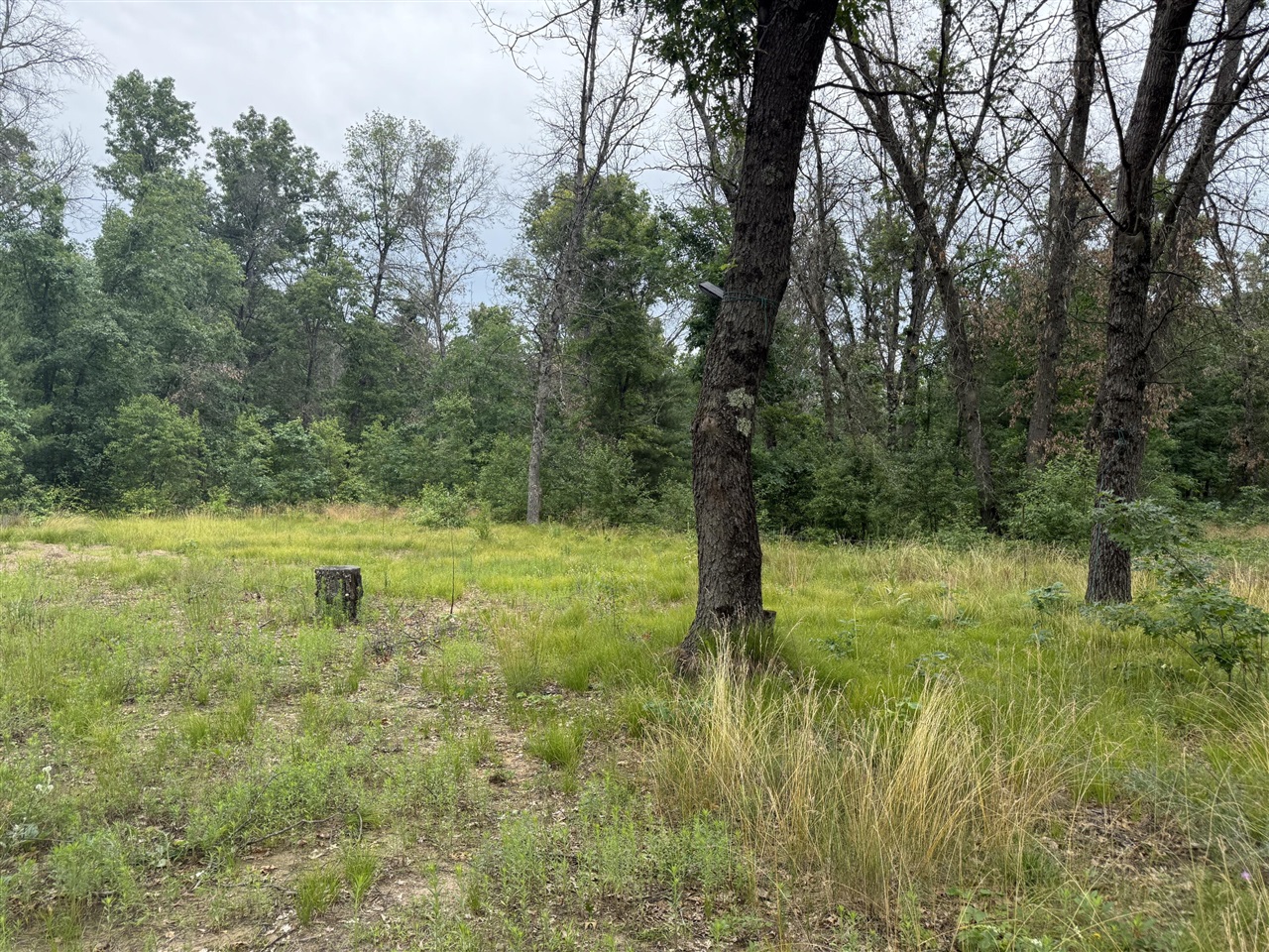 102 E Peoria Avenue, Idlewild, MI, 49642-9615