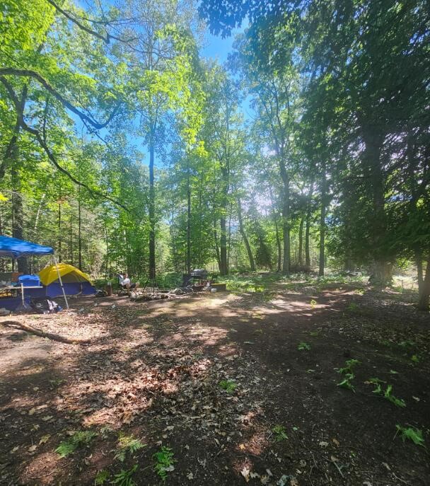 V/L East Side Drive, Beaver Island, MI, 49782