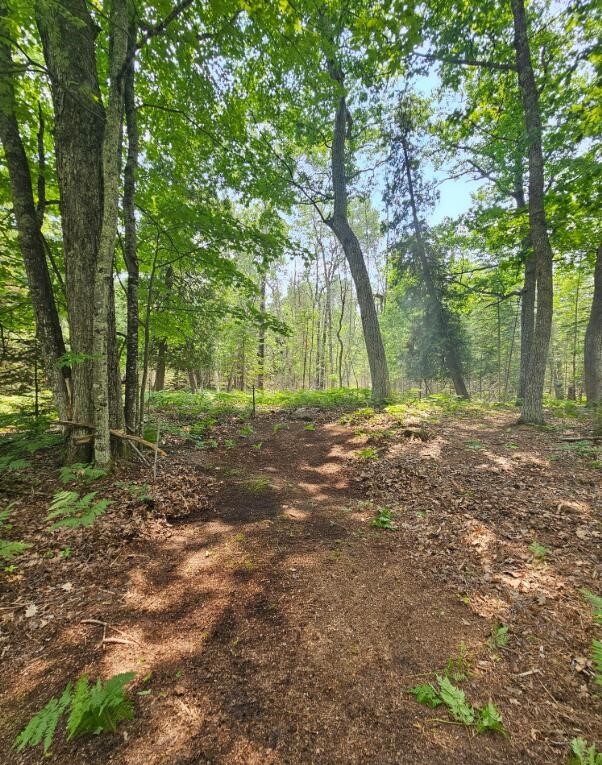 V/L East Side Drive, Beaver Island, MI, 49782