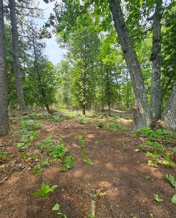 V/L East Side Drive, Beaver Island, MI, 49782