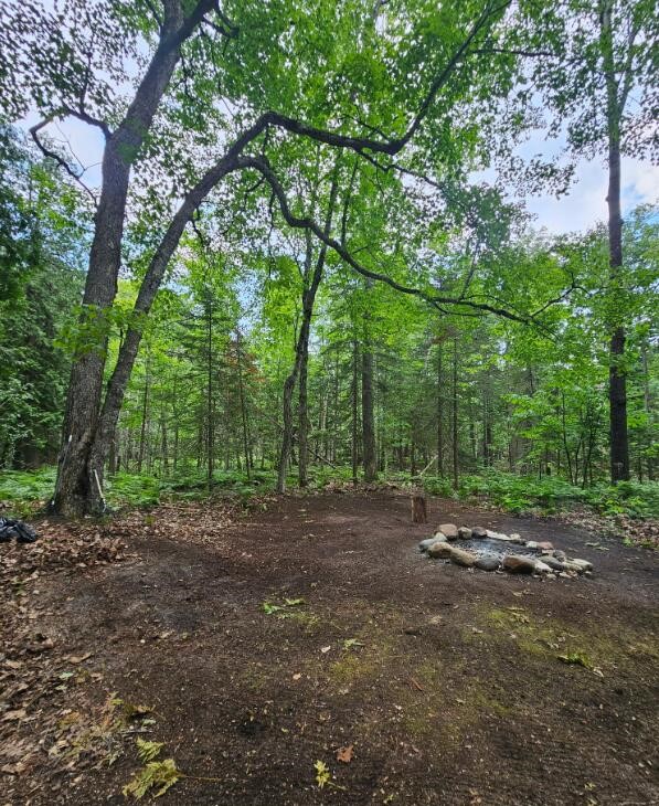 V/L East Side Drive, Beaver Island, MI, 49782