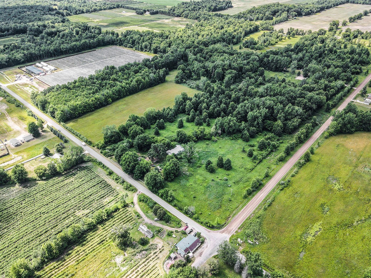 2803 Harrison Street, Detroit, MI, 48216 1253