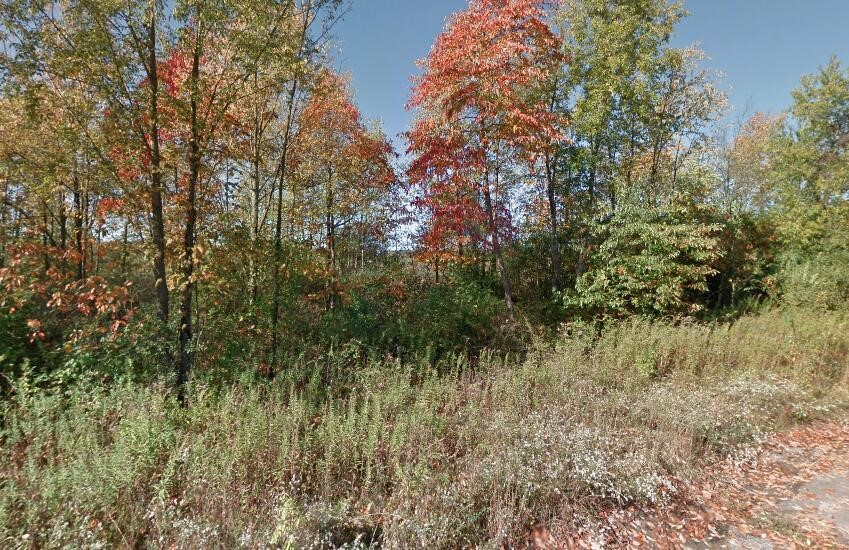 0 Forest Shores Drive 23 photo 3