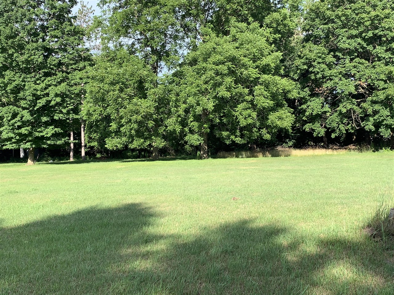 Photo of property for sale at Lizzie Avenue, Hesperia MI 49421