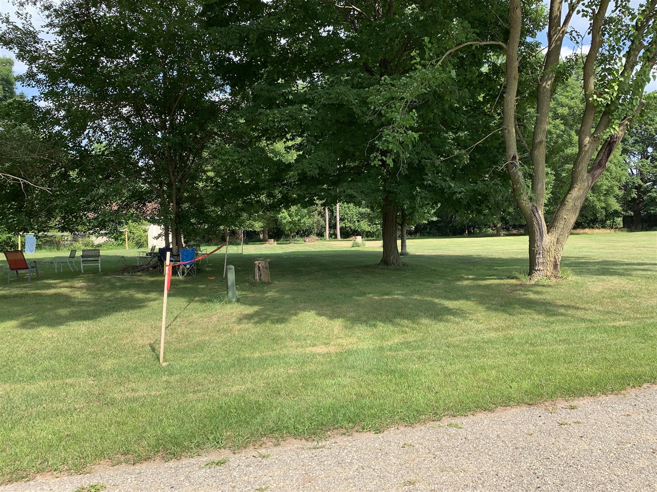 Lizzie Avenue photo 2