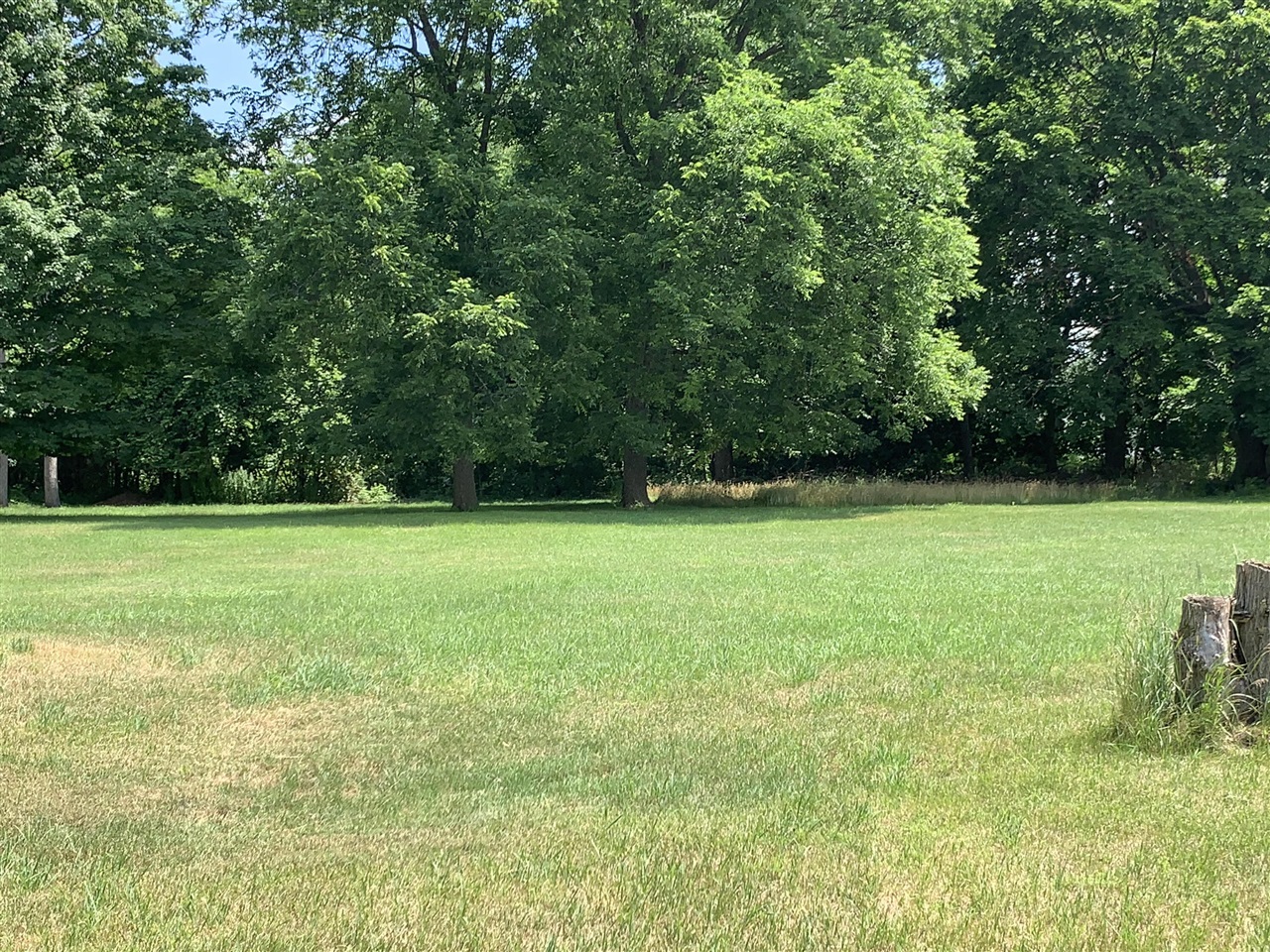 Lizzie Avenue photo 4