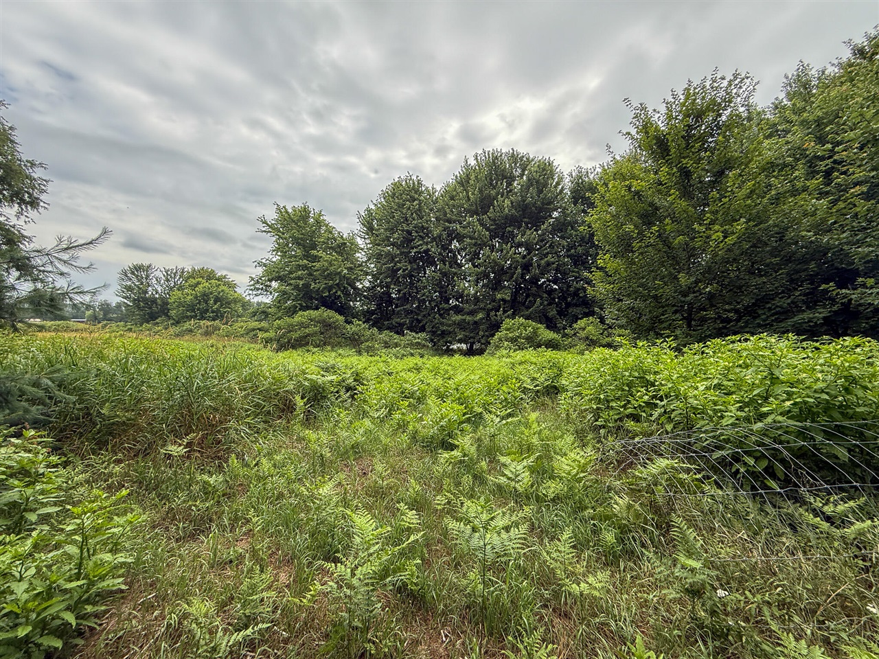 Parcel B N Stephens Road, Custer, MI, 49405