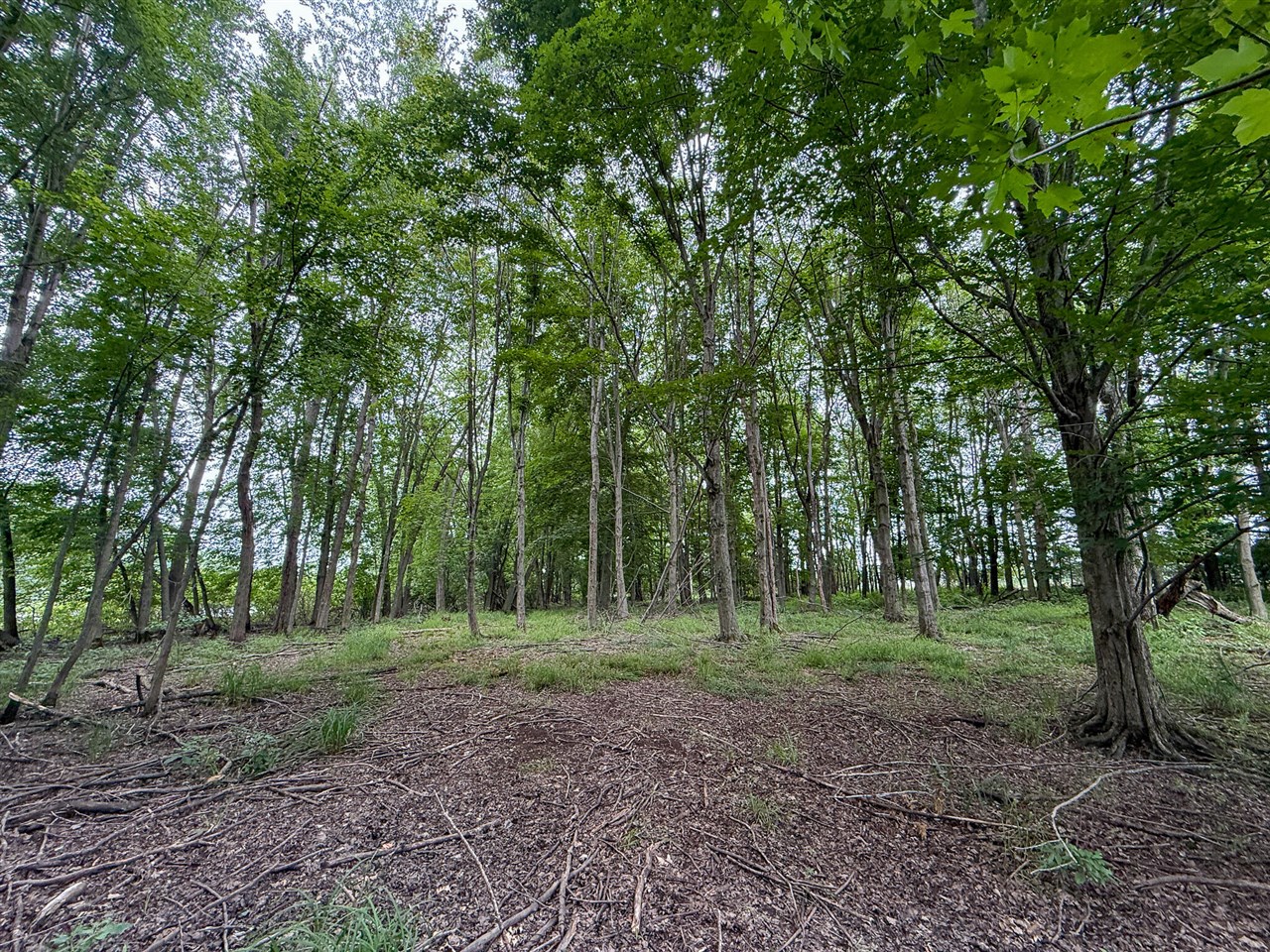 Parcel B N Stephens Road, Custer, MI, 49405