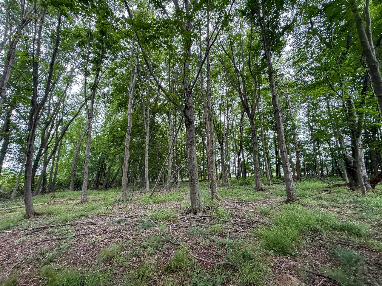 Parcel B N Stephens Road, Custer, MI, 49405