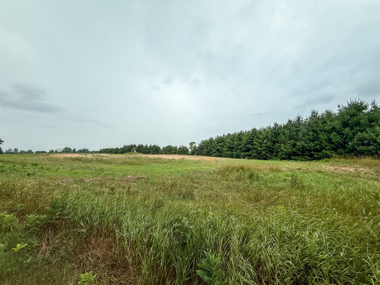 Parcel B N Stephens Road, Custer, MI, 49405