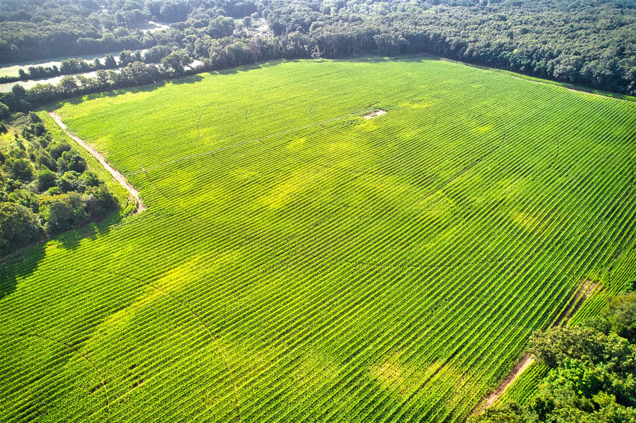 0 Lake Street, Niles, MI, 49120