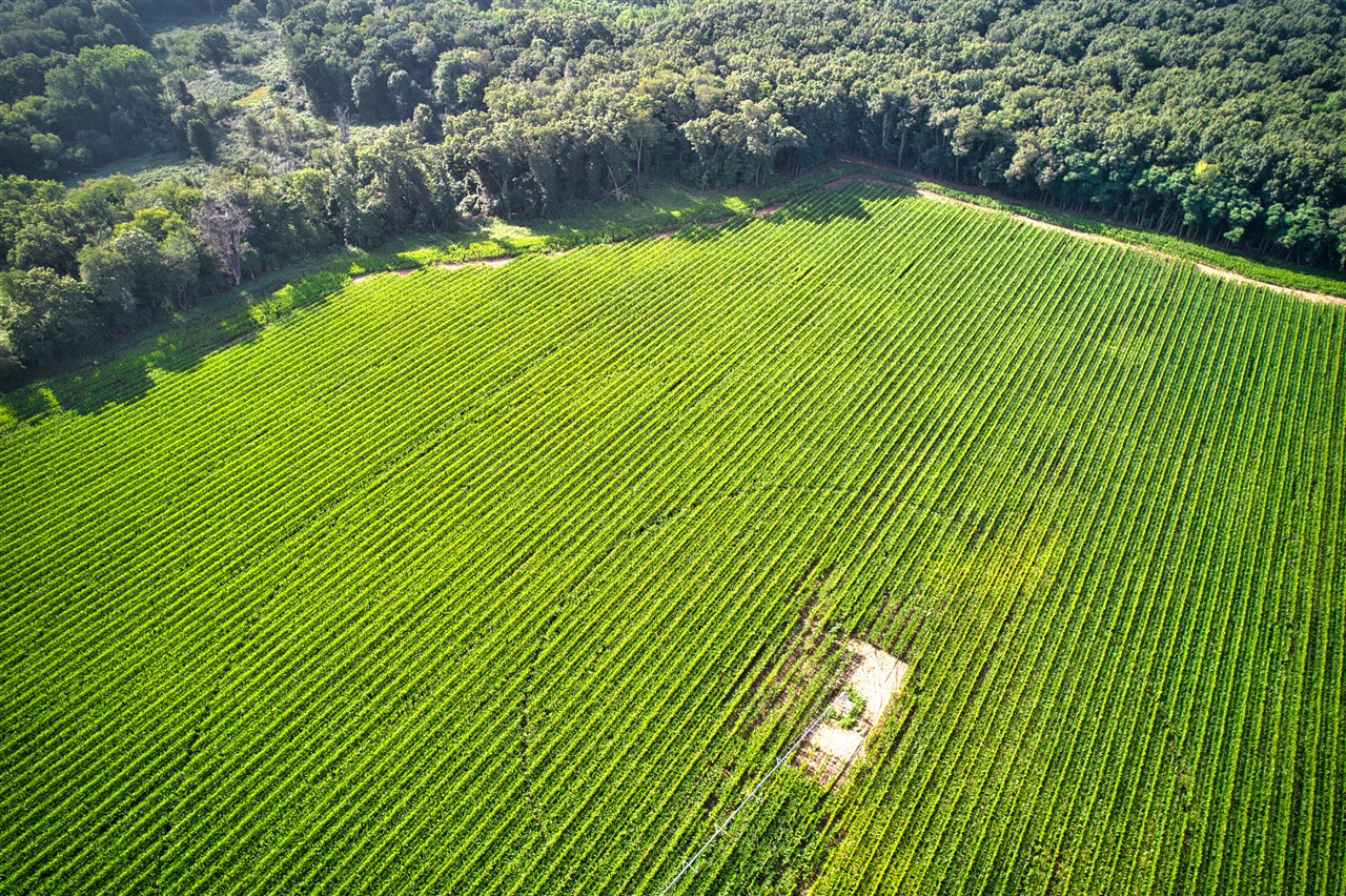 0 Lake Street, Niles, MI, 49120