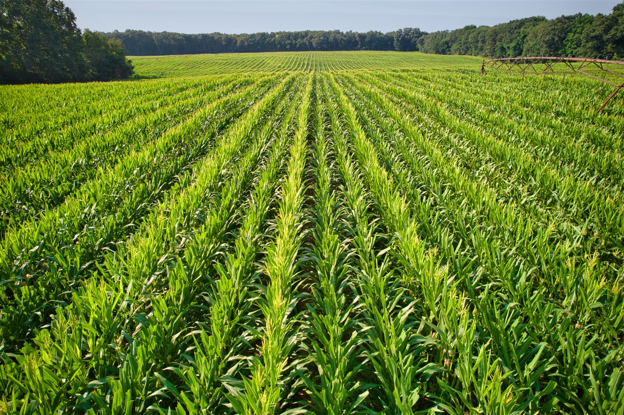 0 Lake Street, Niles, MI, 49120