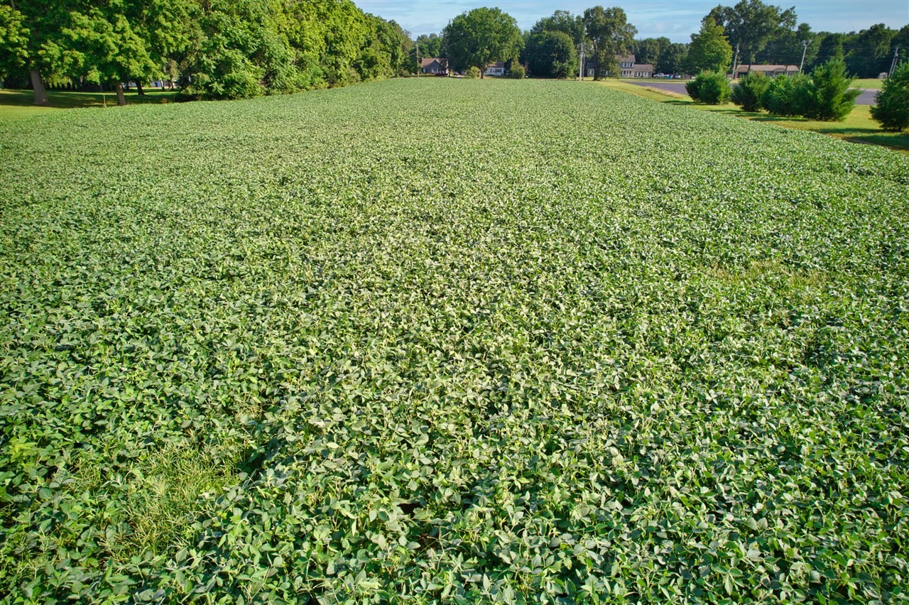 0 Lake Street, Niles, MI, 49120