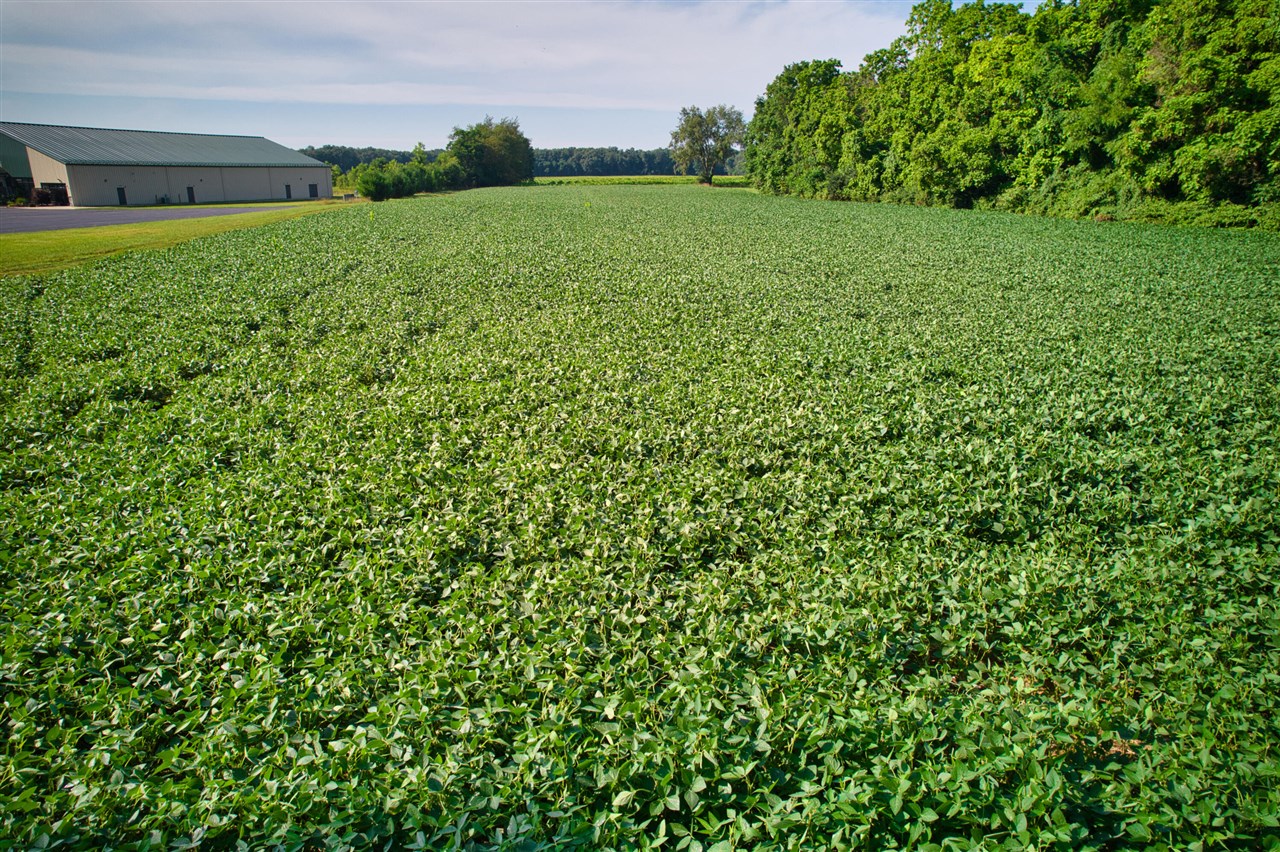 0 Lake Street, Niles, MI, 49120