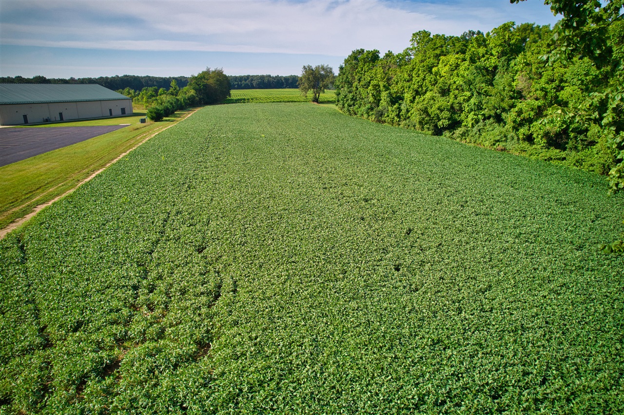 0 Lake Street, Niles, MI, 49120