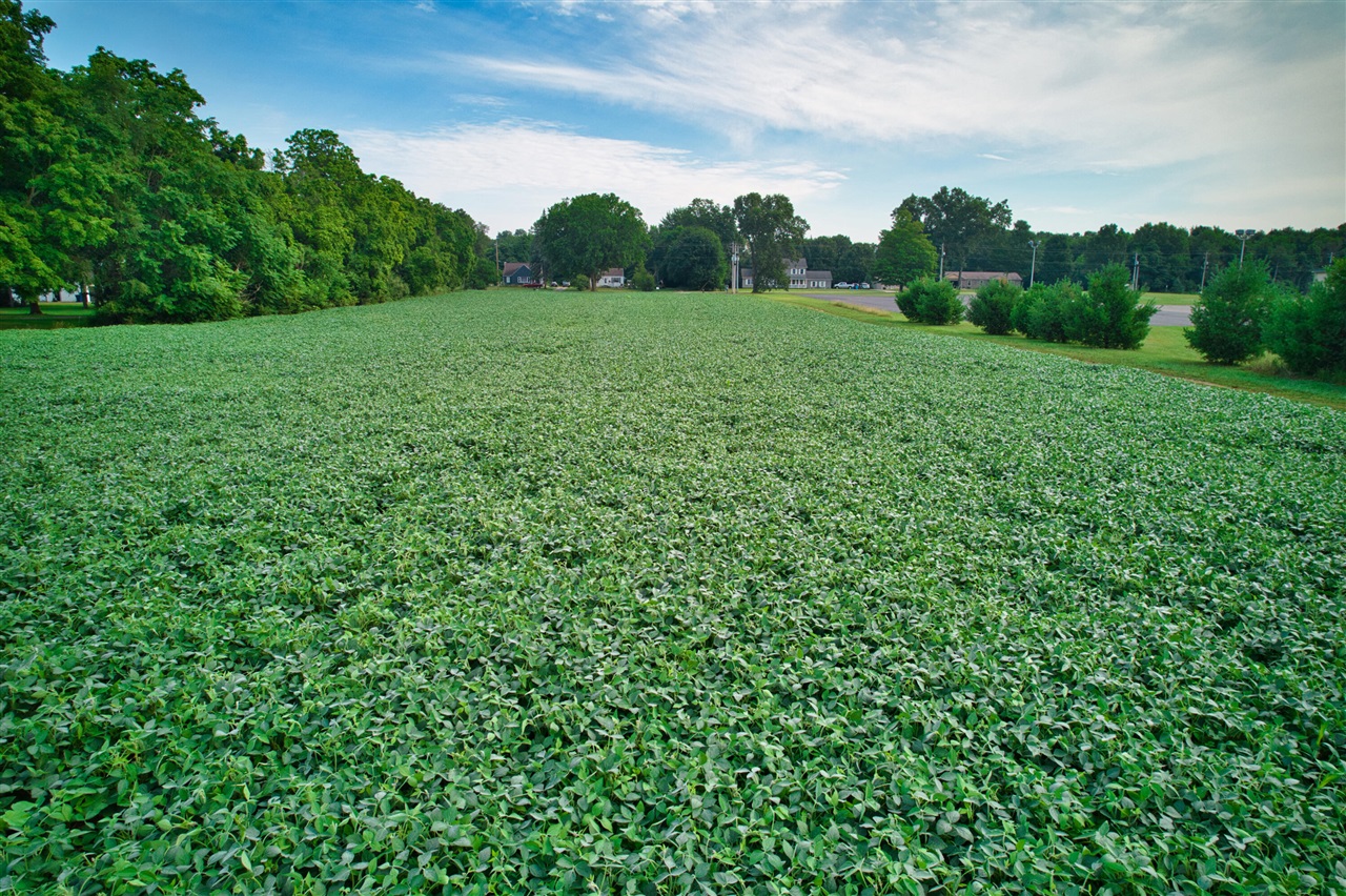 0 Lake Street, Niles, MI, 49120